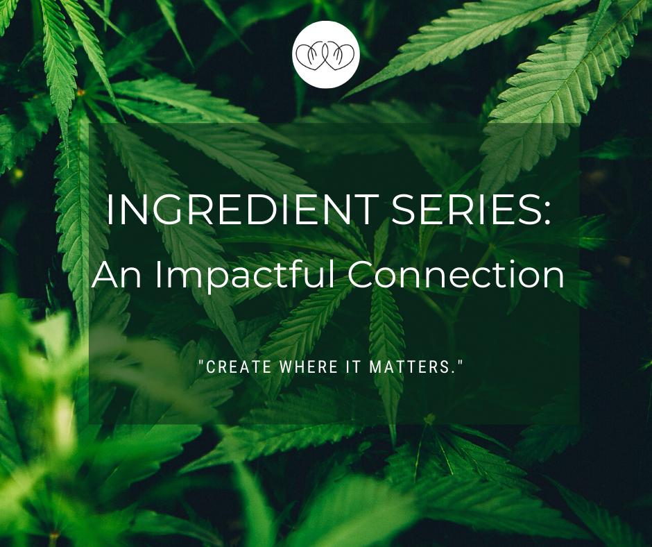 Ingredient Series: An Impactful Connection